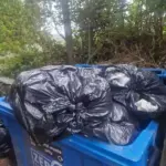 Before gutter cleaning in Stenalees, Cornwall